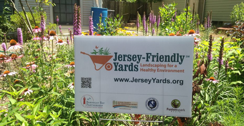 Jersey-Friendly Yards | Ocean County Soil Conservation District