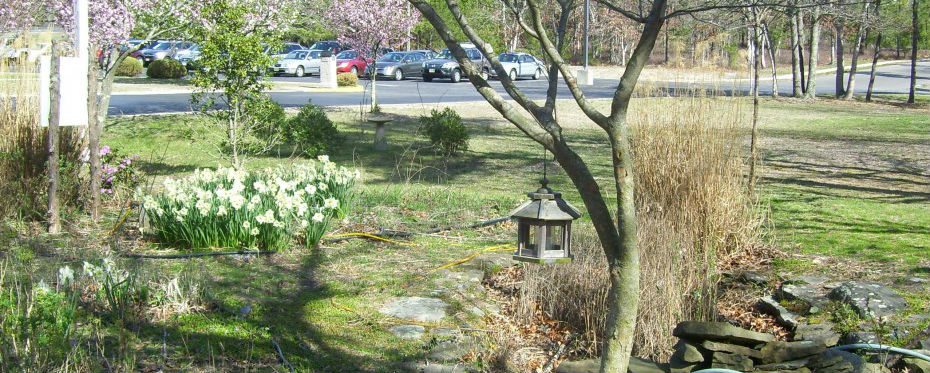 Rain Garden at Eagleswood Elementary School