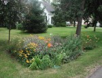 A native plant rain garden is a beautiful way of enhancing your landscape.