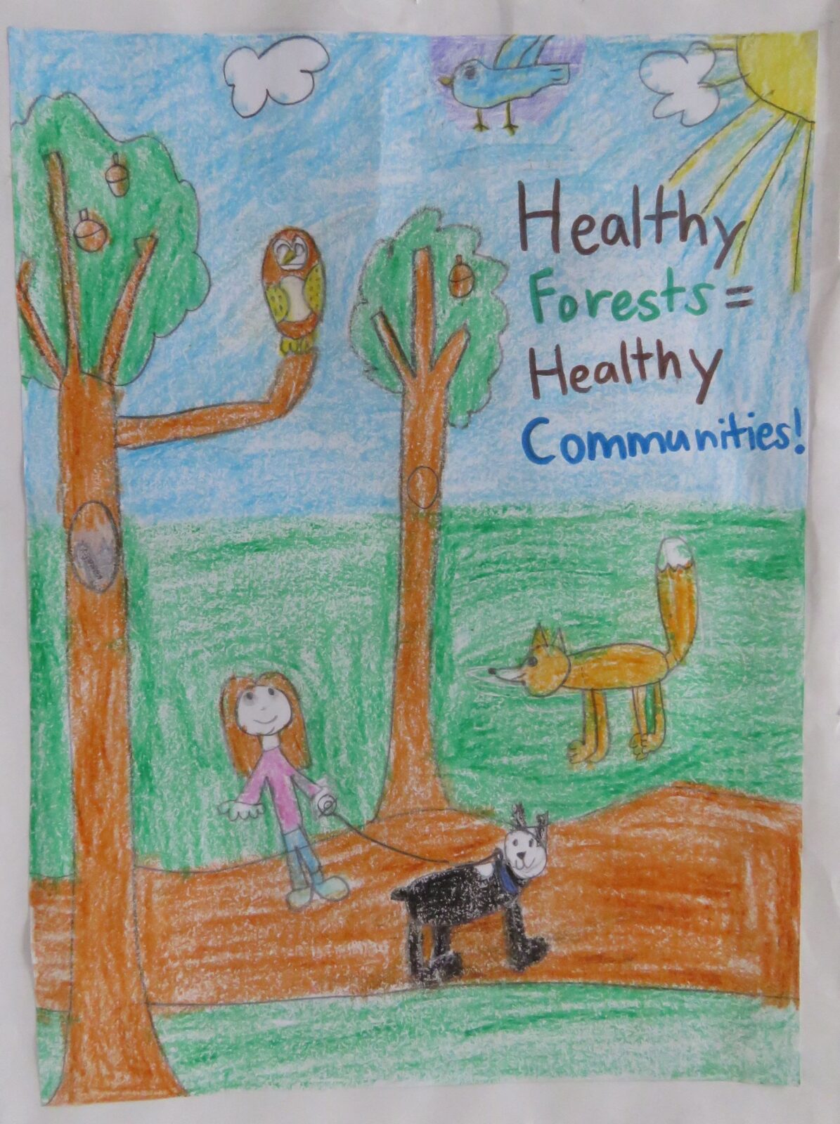 Annual NJ Conservation Poster Contest - Ocean County Soil Conservation  District