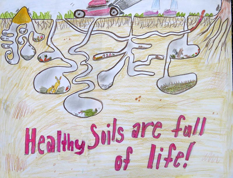 Annual NJ Conservation Poster Contest - Ocean County Soil Conservation  District