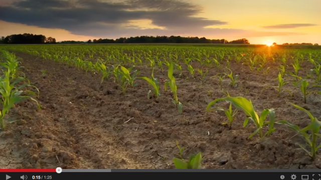 What Is Healthy Soil? | Ocean County Soil Conservation District