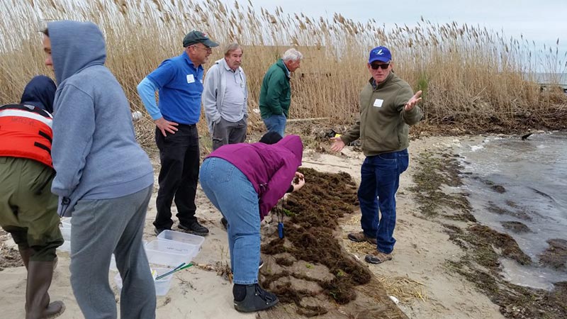 2017: Celebrating our 20th Annual Environmental Educators Roundtable