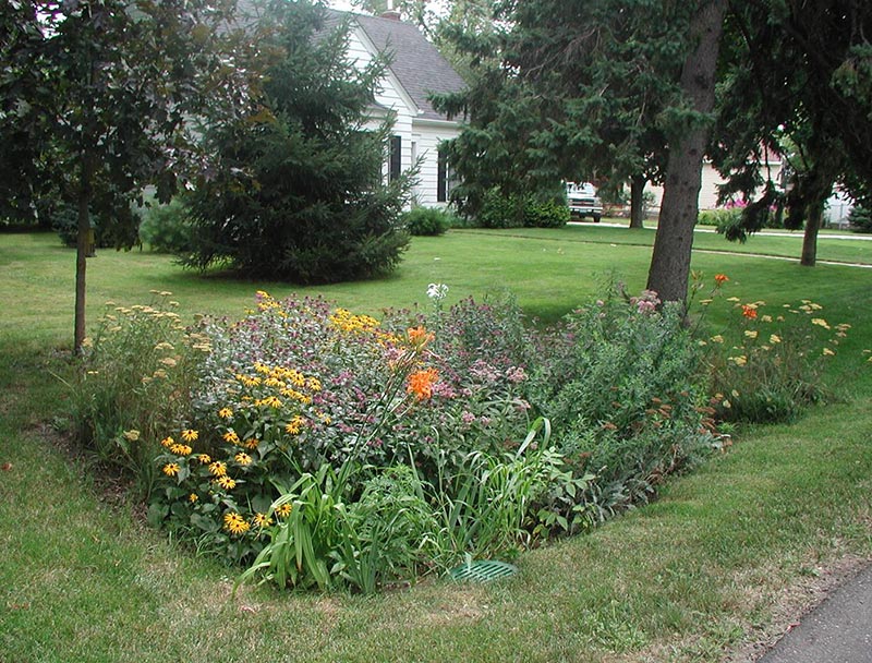 Rain gardens