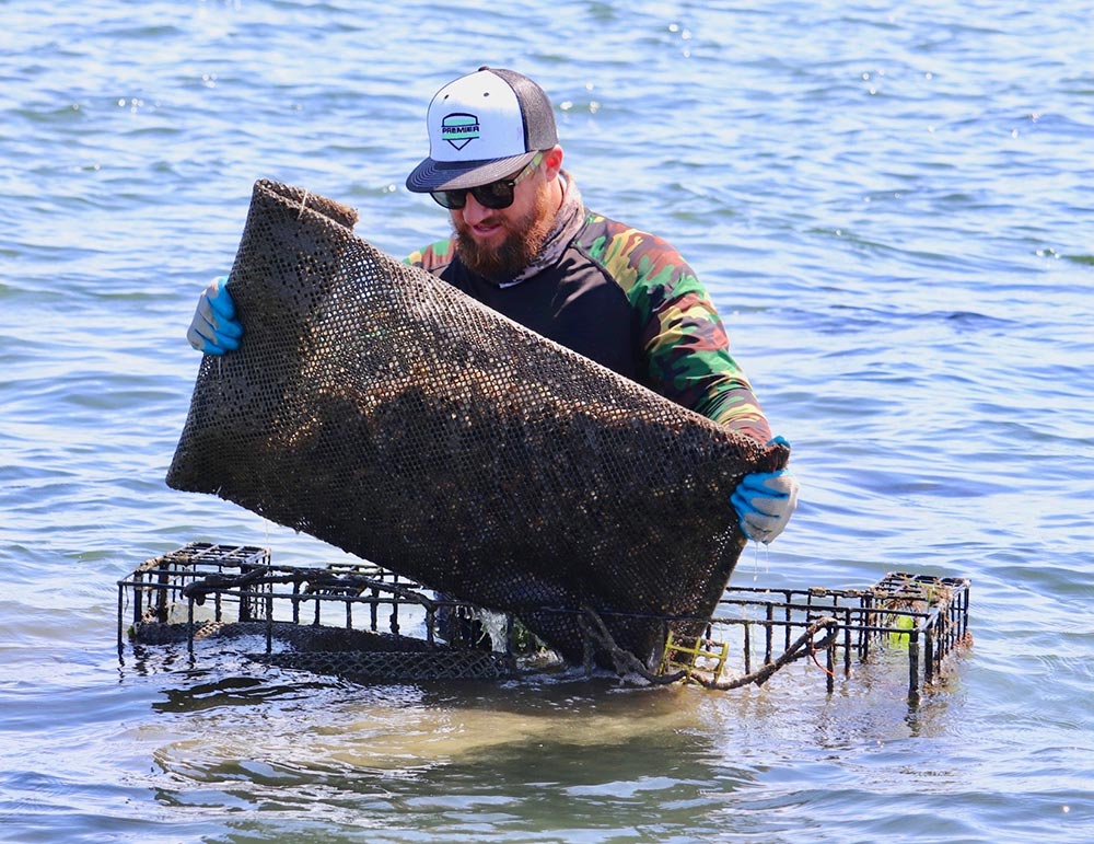 Farmers from local aquaculture operations showcase oyster farming methods