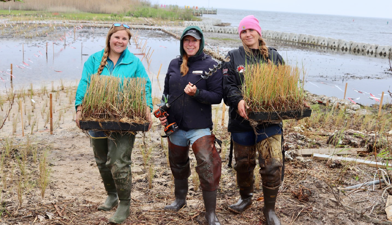 OCSCD Staff Participate in Living Shoreline Restoration Project at the Lighthouse Center for Natural Resource Education