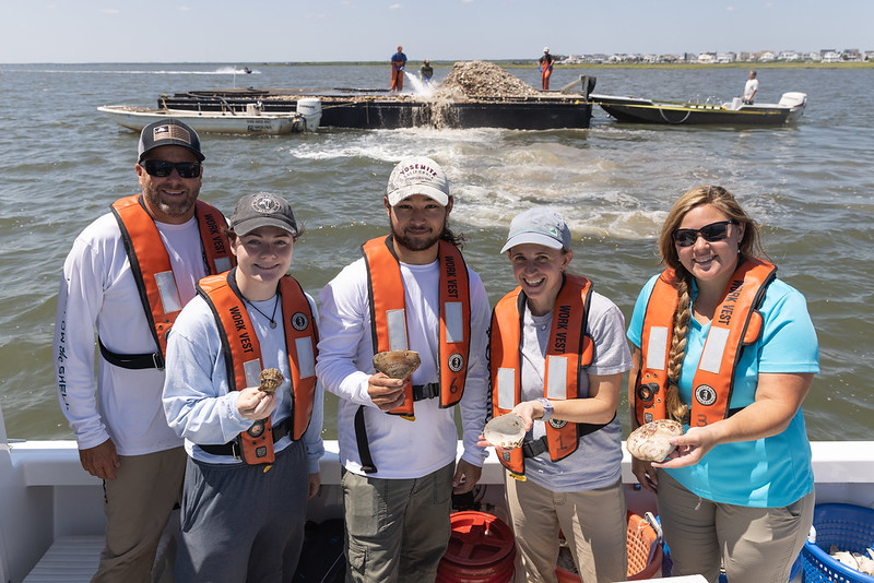 Stockton University’s New Mill Creek Oyster Restoration Reef