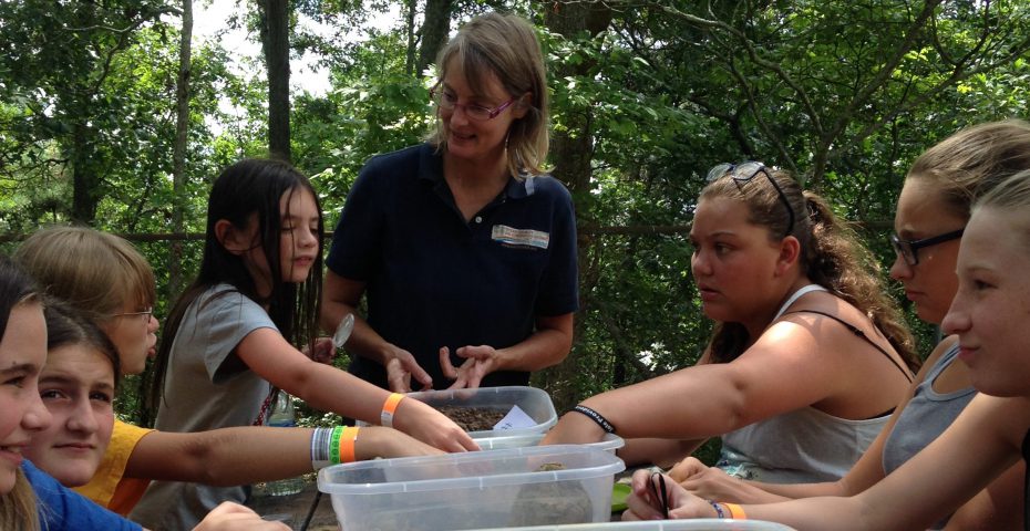 Lesson Plans & Resources for Educators - Ocean County Soil Conservation ...