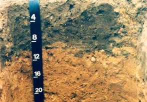 Digging Deeper: Downer Soil