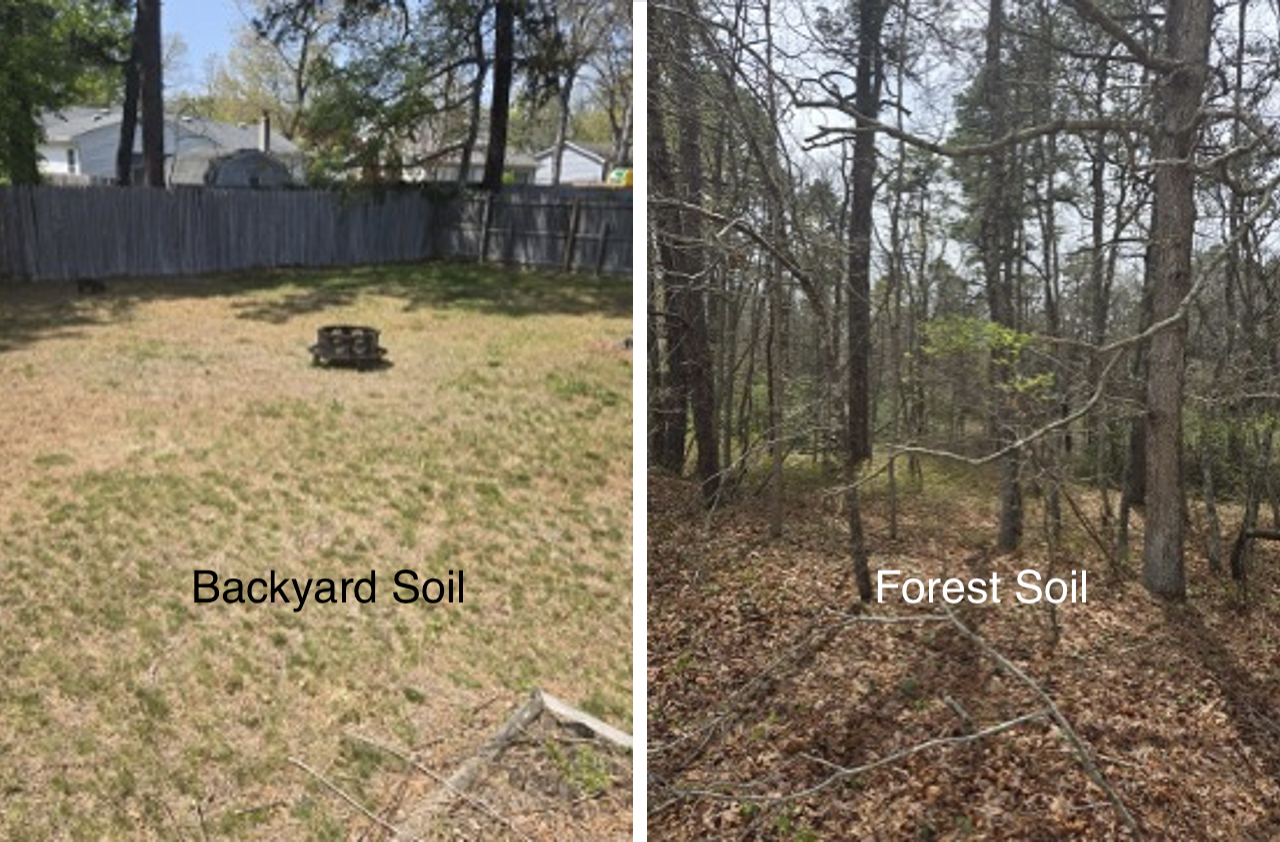 Soil Health: A Student’s Quest for Answers